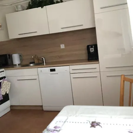 別荘 Olesnicke Staveni Olešnice